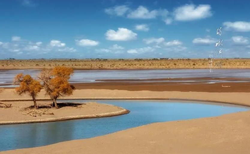 额济纳胡杨林旅游详细攻略,额济纳旗胡杨林游攻略