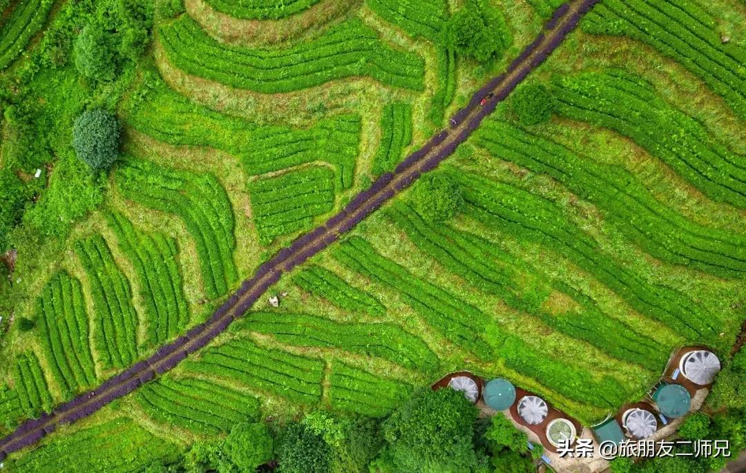 清远金子山旅游攻略看雾凇,广东金子山雪景旅游攻略
