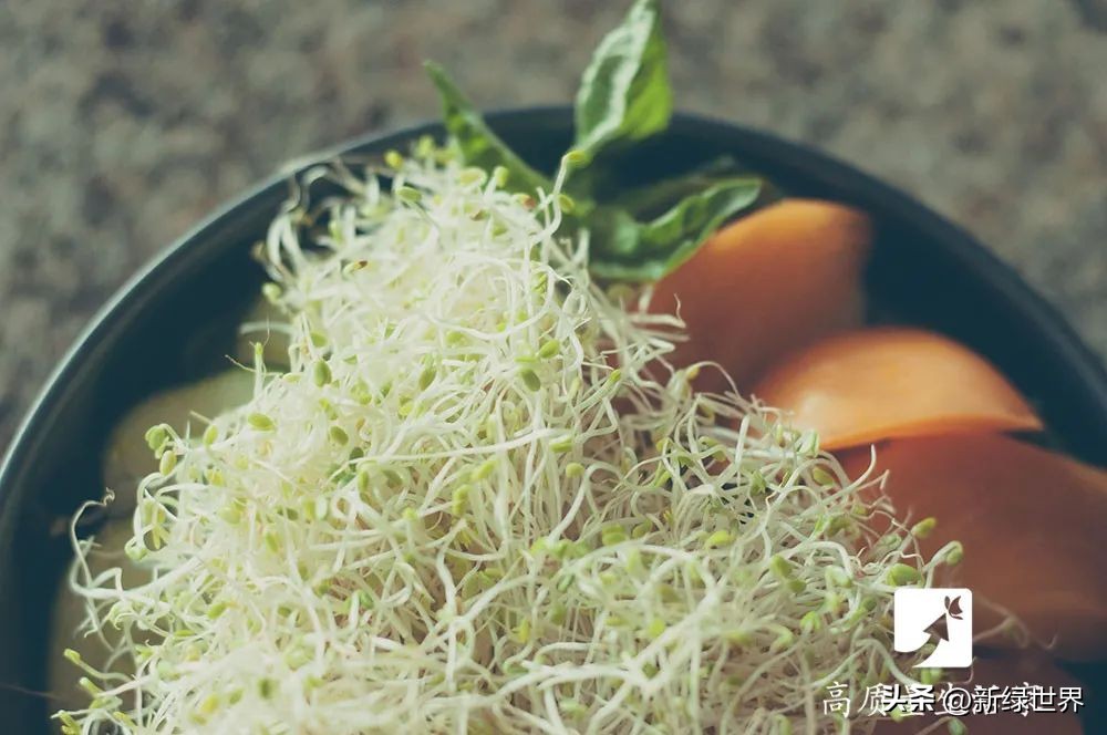 谁买谁后悔的11件家具家电？买的是后悔吗？