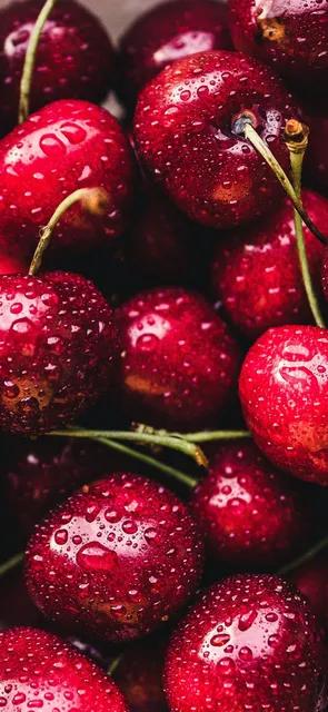 各种水果图片大全,各种水果的英文