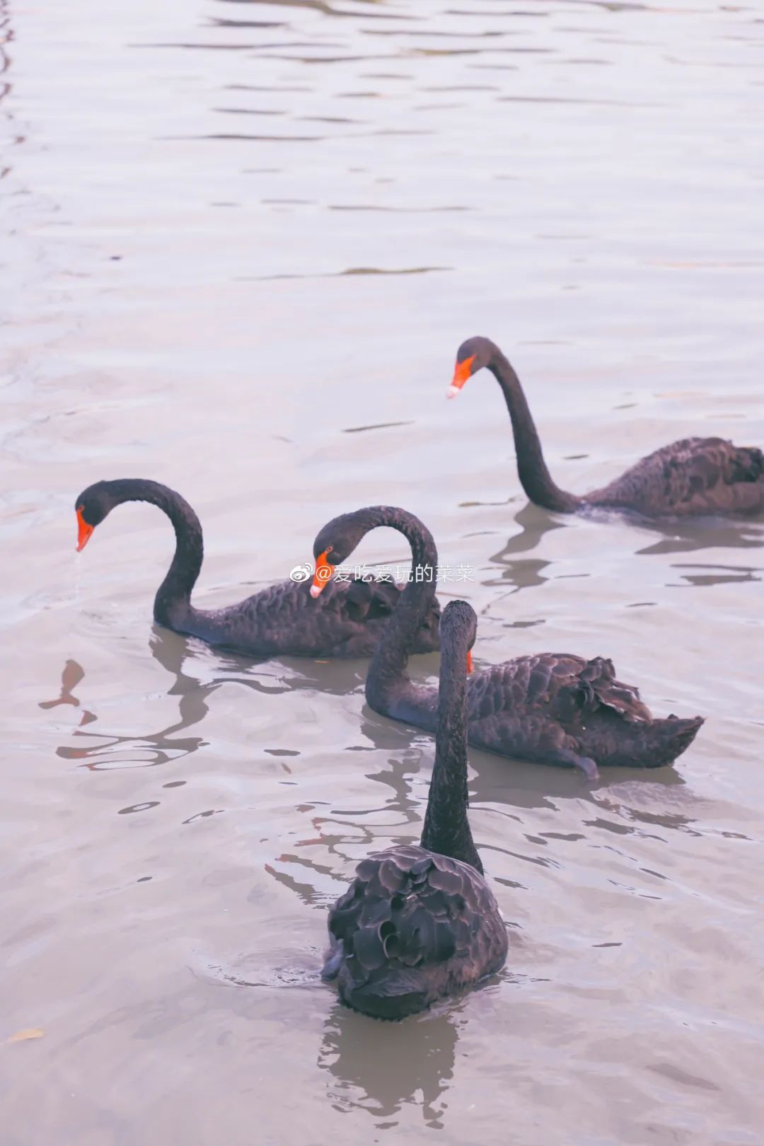 福州琅岐岛风景,福州的美景美食