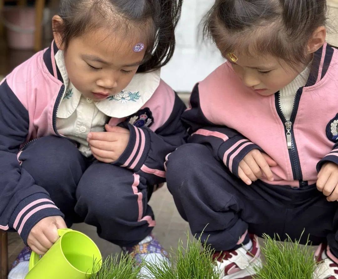 桐乡市庆安乐儿堡幼儿园,浙江省桐乡市庆安乐儿堡幼儿园