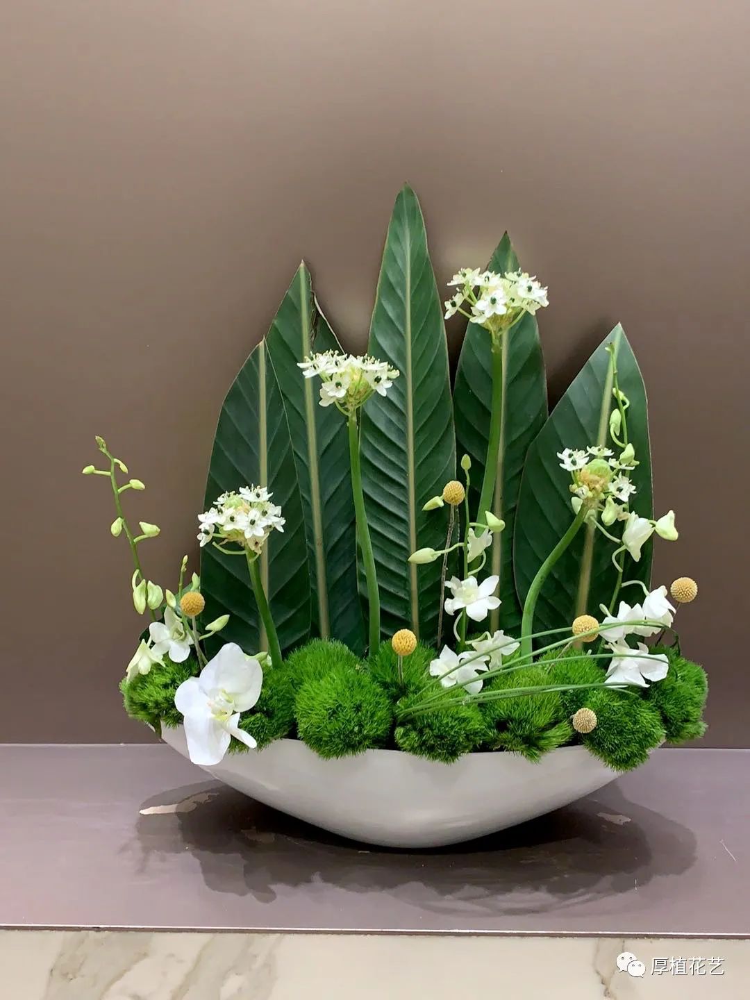 商务前台鲜花,前台花选择