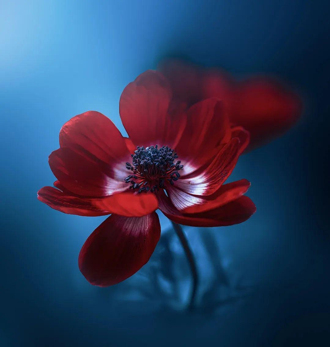 人心凉了很疲惫的伤感说说短句,心力憔悴的唯美句子