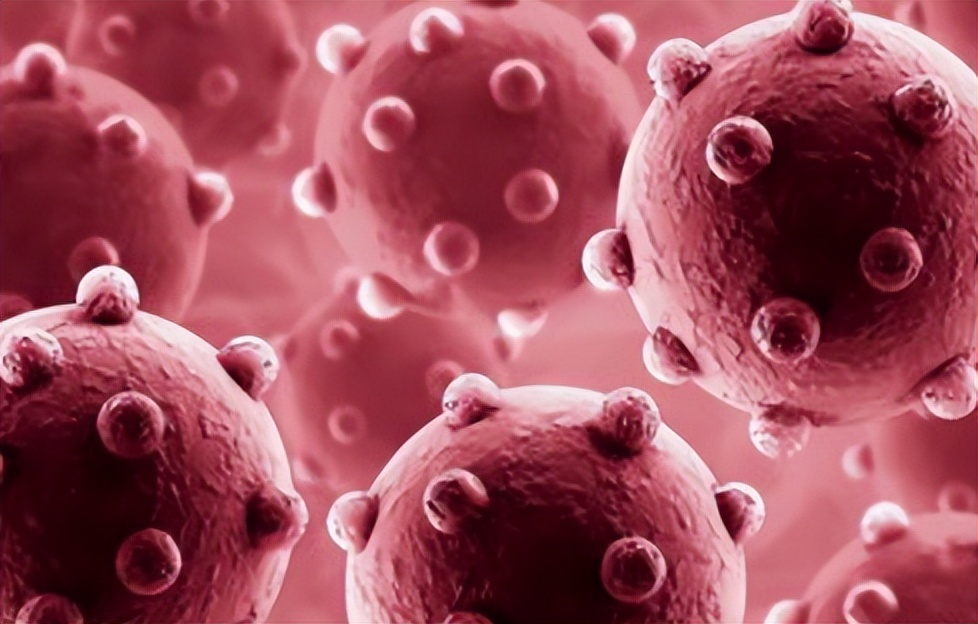 夫妻性传播疾病有哪些,得了性传播有哪些症状