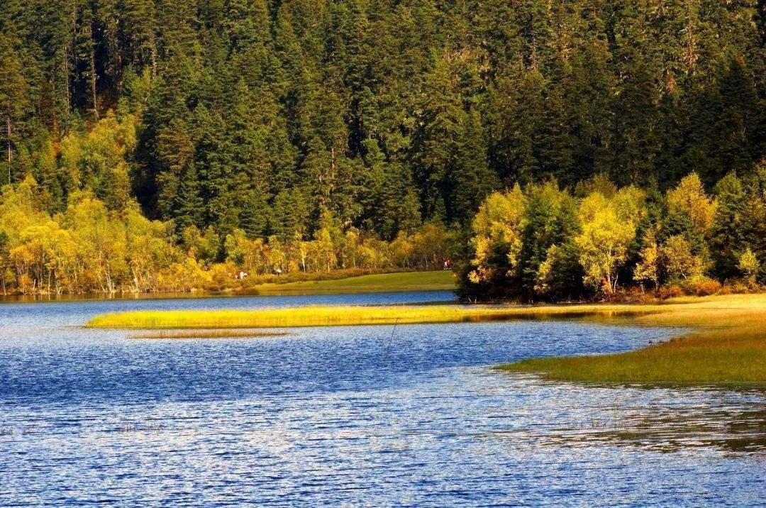 怎么办理签证出国？有护照了就能办签证了吗？去哪里办理？