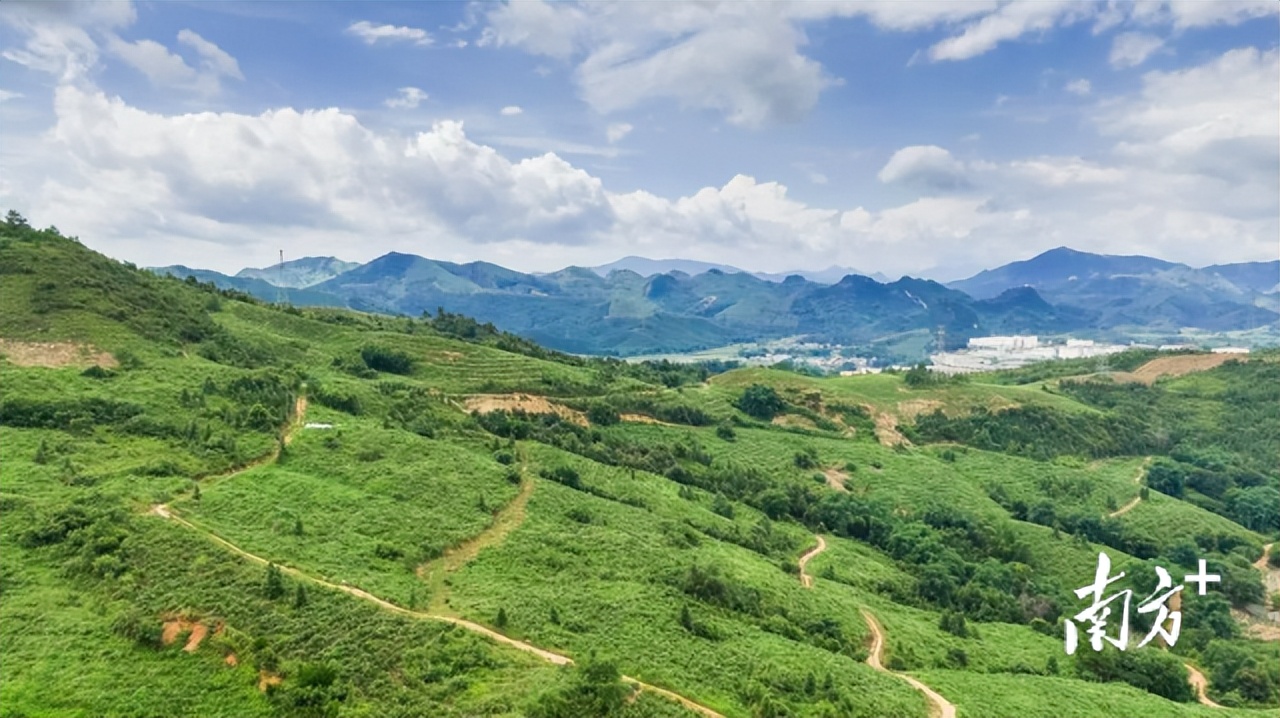 征集下联!乳源瑶药产业园区域公用品牌广告语第二轮征集活动开始啦