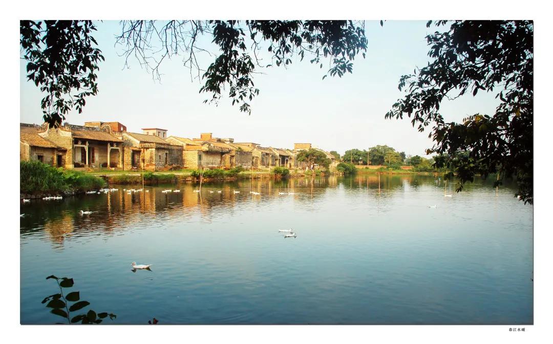 塱头村草地,塱头村草坪