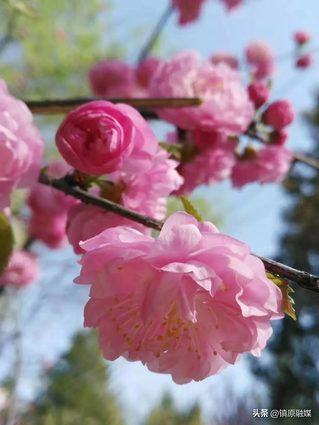 愿一切美好四月如期而至,走进四月愿所有美好如期而至