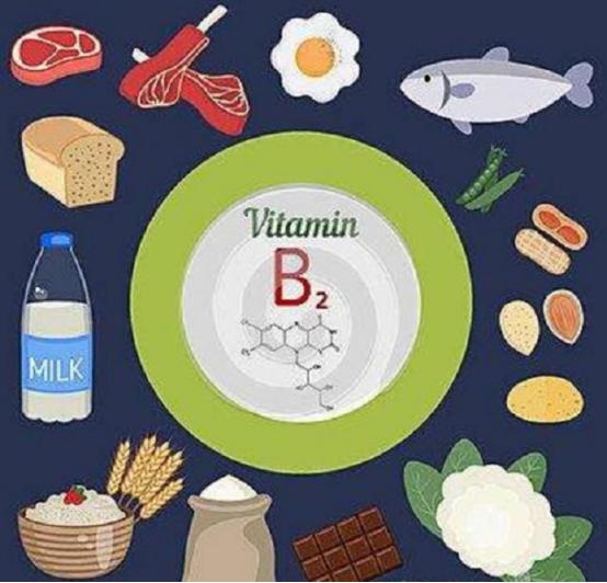 维生素b2降血压成人一天吃几片,维生素b2有降血压的功效吗