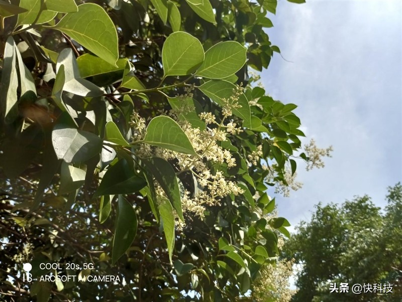 5g千元手机测评,酷派cool20s5g王者实测90hz