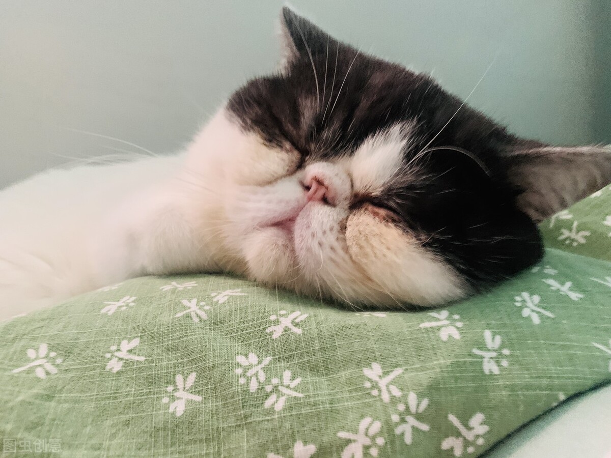 马未都谈死亡,马未都说葬礼完整版