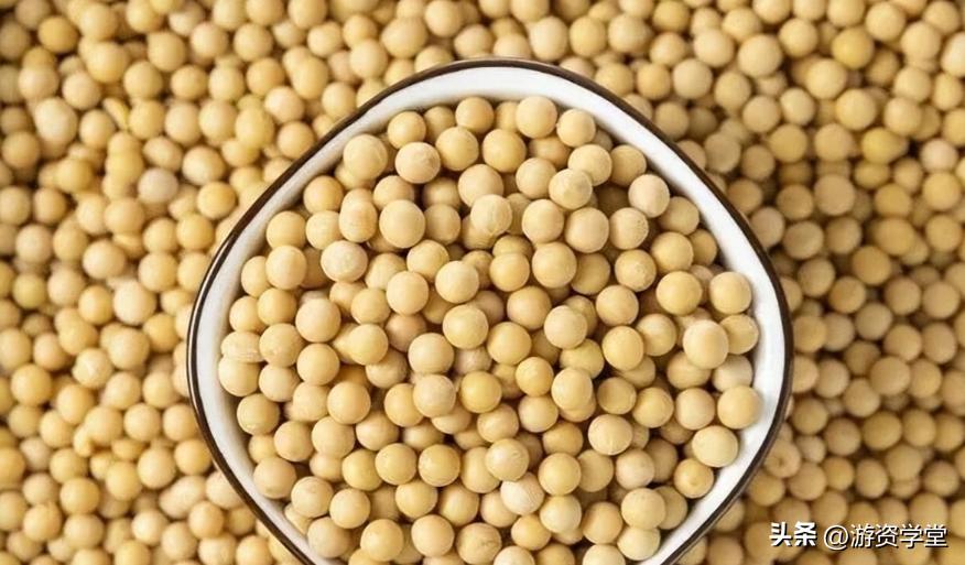 巴西大豆出口贸易现状及对策,巴西大豆对华出口