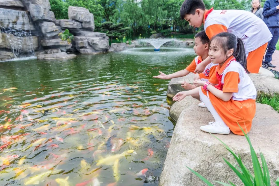 全国生态环境日主题,全国生态日绿水青山就是金山银山