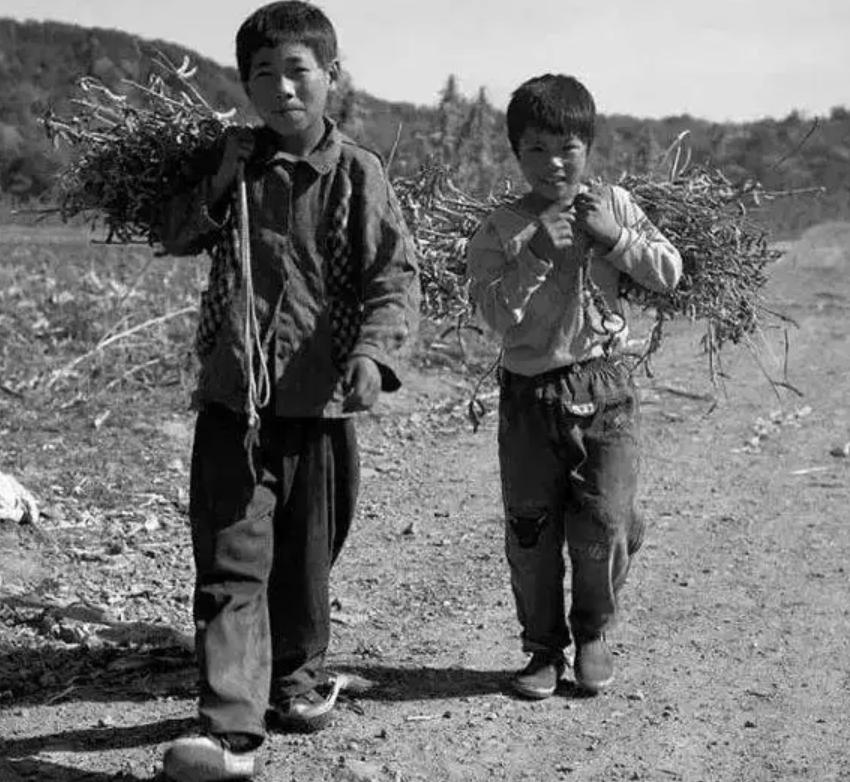 槟榔大王死亡之谜,槟榔大王死亡事件