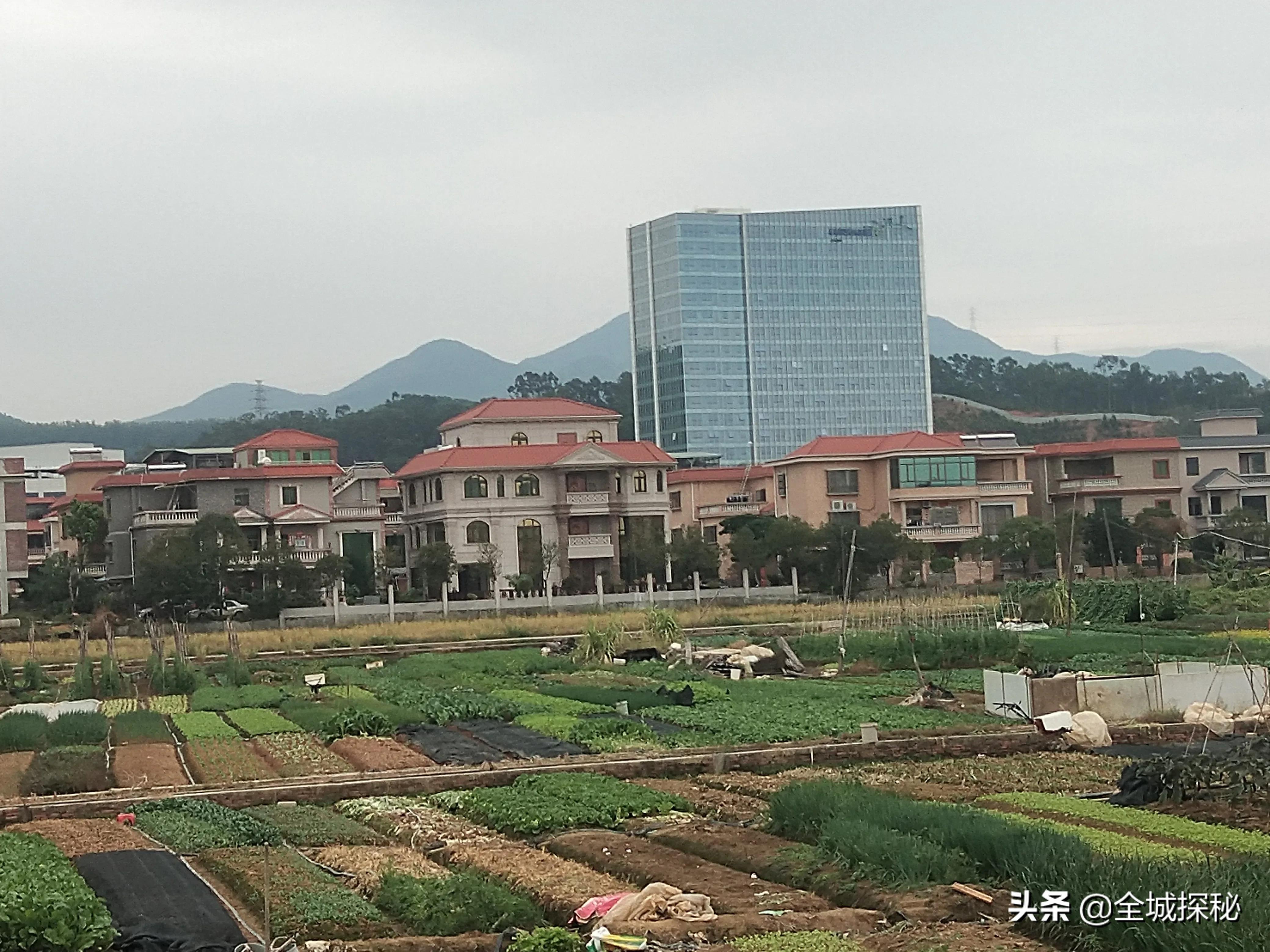 “村中城”东莞：故乡回不去，打工人把东莞打扮成了故乡