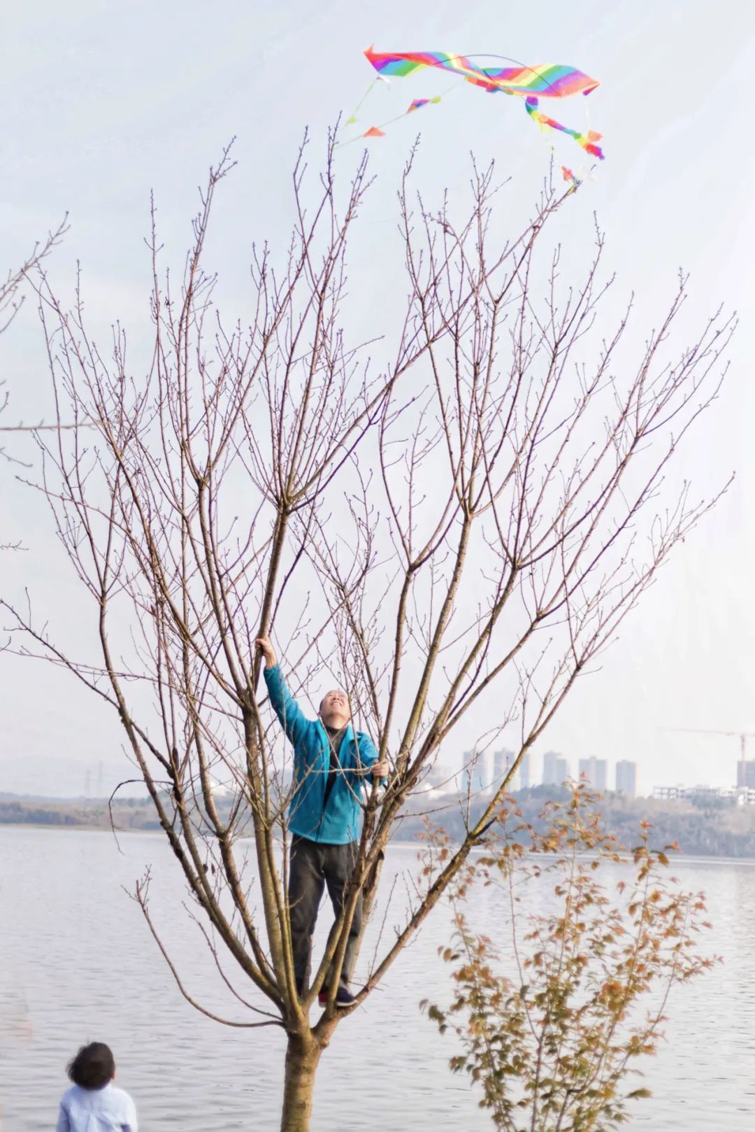 成都向上最新信息,年度向上力量合照