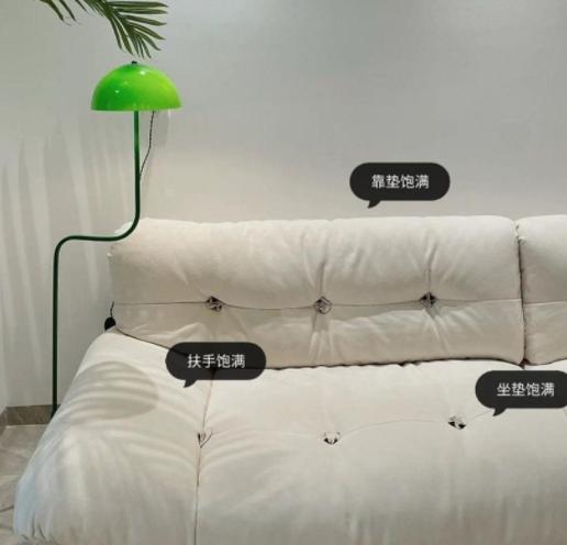 若再买沙发，一定坚持“6不选”，不是矫情，是换过3套的教训