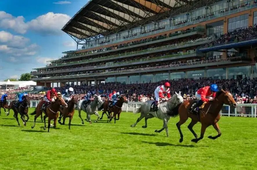 德比历史起源,德比历史起源科普