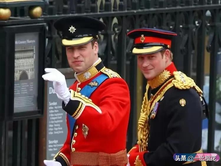 完了，芭比Q了，哈里梅根傻眼