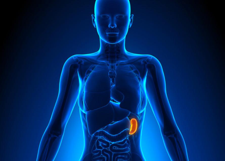 补中益气汤能治疗耳鸣吗,补中益气汤治疗耳鸣吗