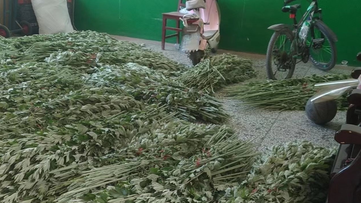 勤快一点多做一点没有错,勤快一点和努力一点