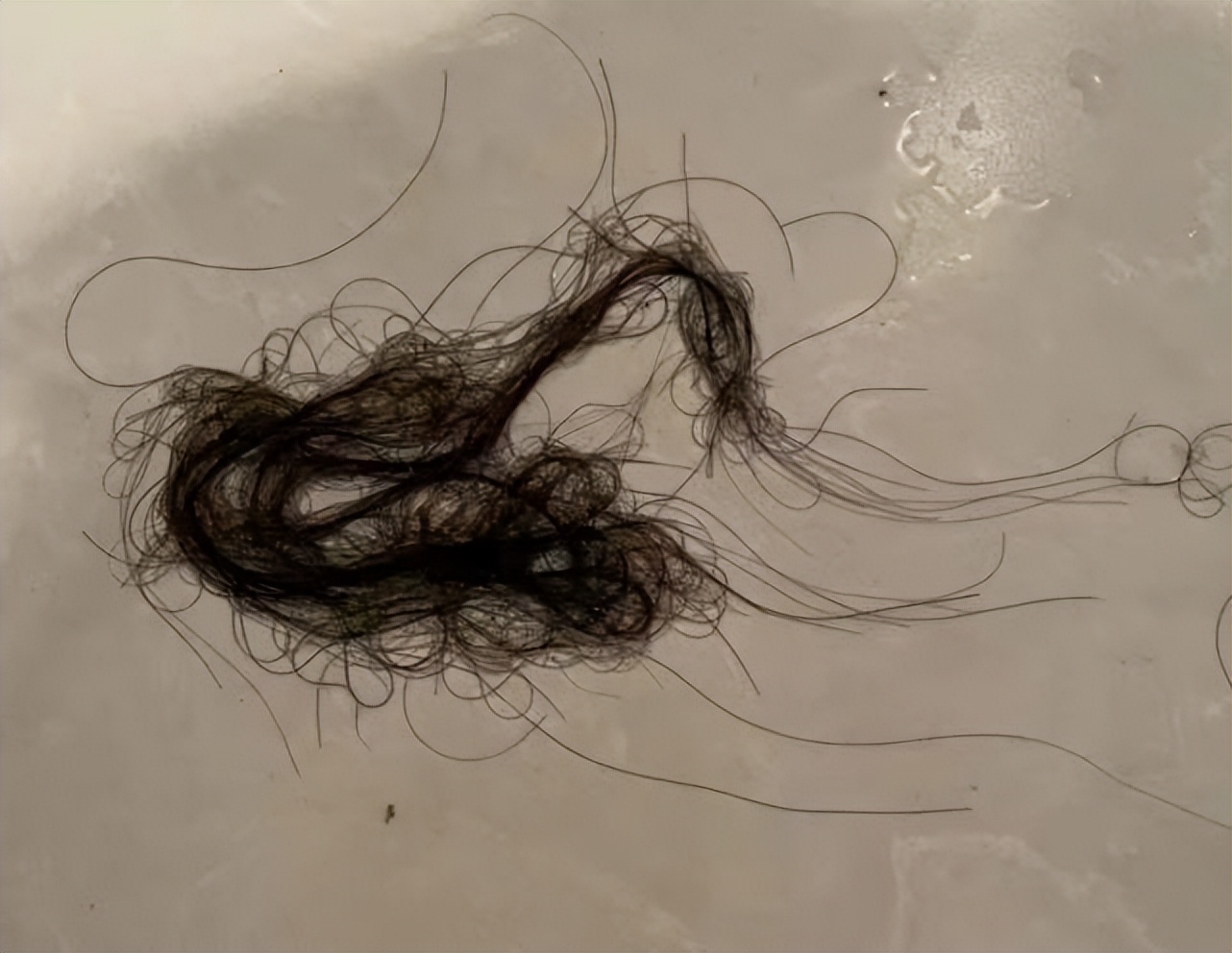 防脱生发洗发水良心推荐,国货洗发水防脱生发止痒去屑