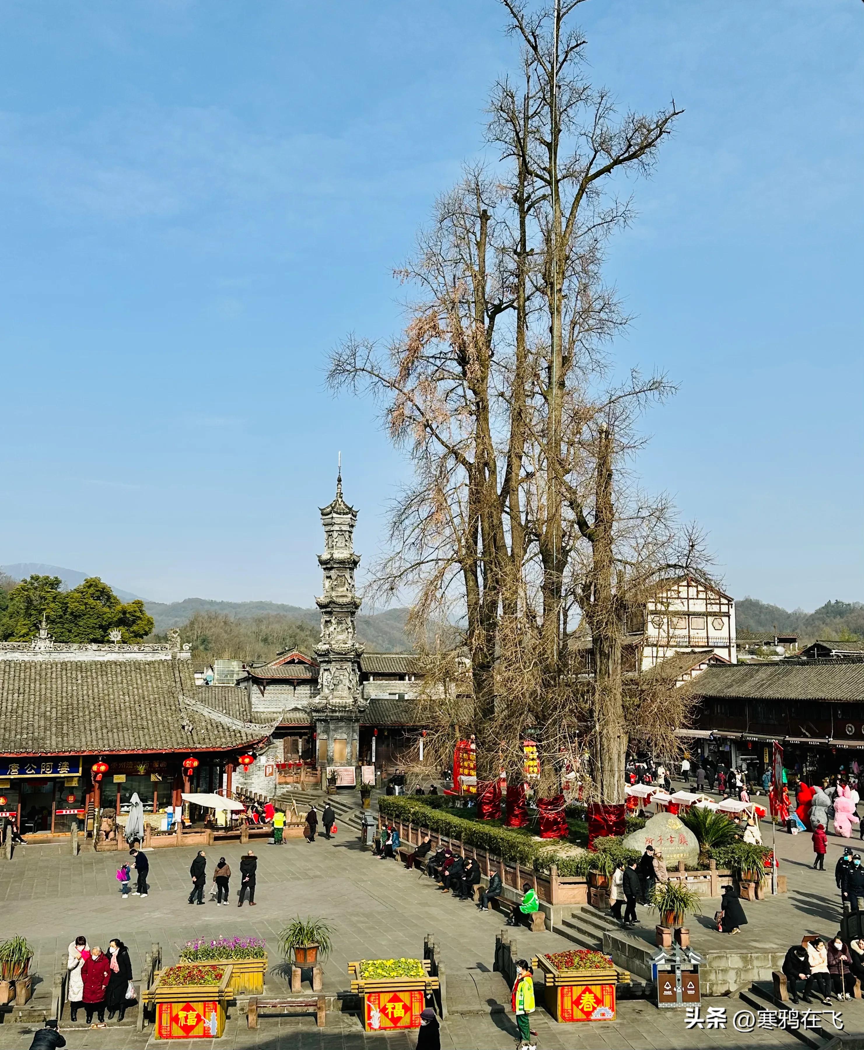 天顺记（6）漫长的盛宴