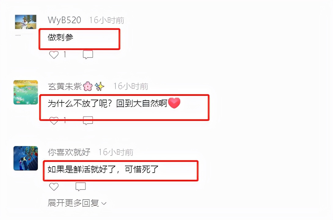 渔民捕获240斤重石斑鱼,渔民出海捕到4000斤石斑鱼