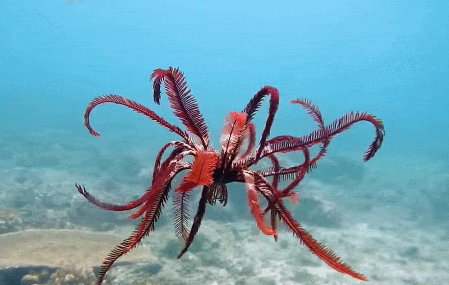 一颗来自地球的螺丝钉,发现外星人遗留的螺丝钉