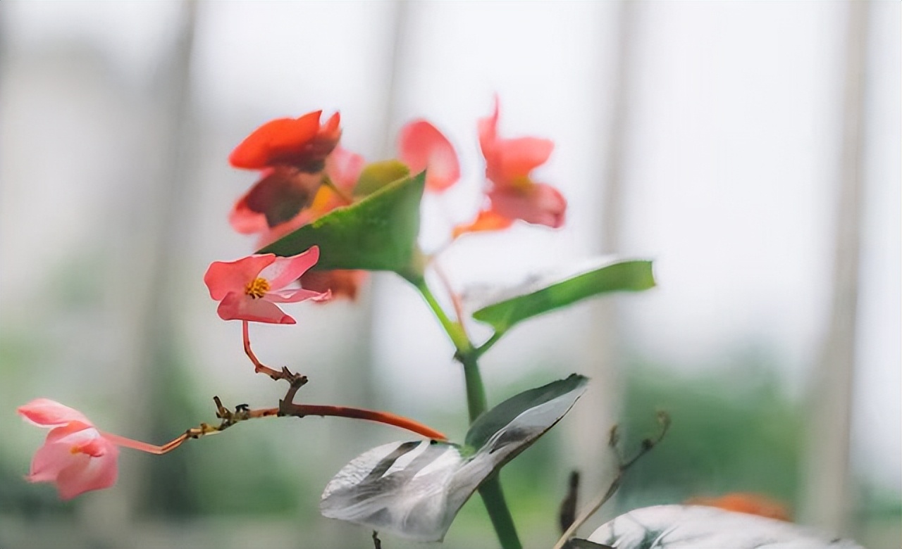 人到中年除了家人一无所有,人到中年唯一的依靠是能力与存款