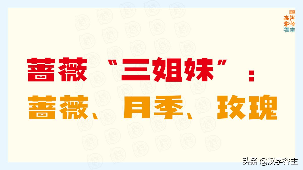 国家植物园游览掠影,走进国家植物园南北月季花海