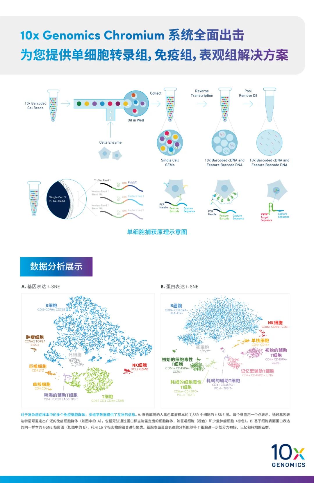 谁与争锋1154,谁与争锋1878