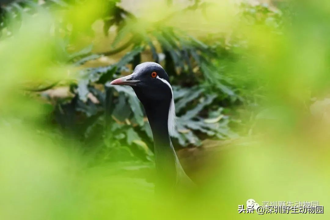 考完先别溜！优惠门票¥67.8，放松一“夏”！