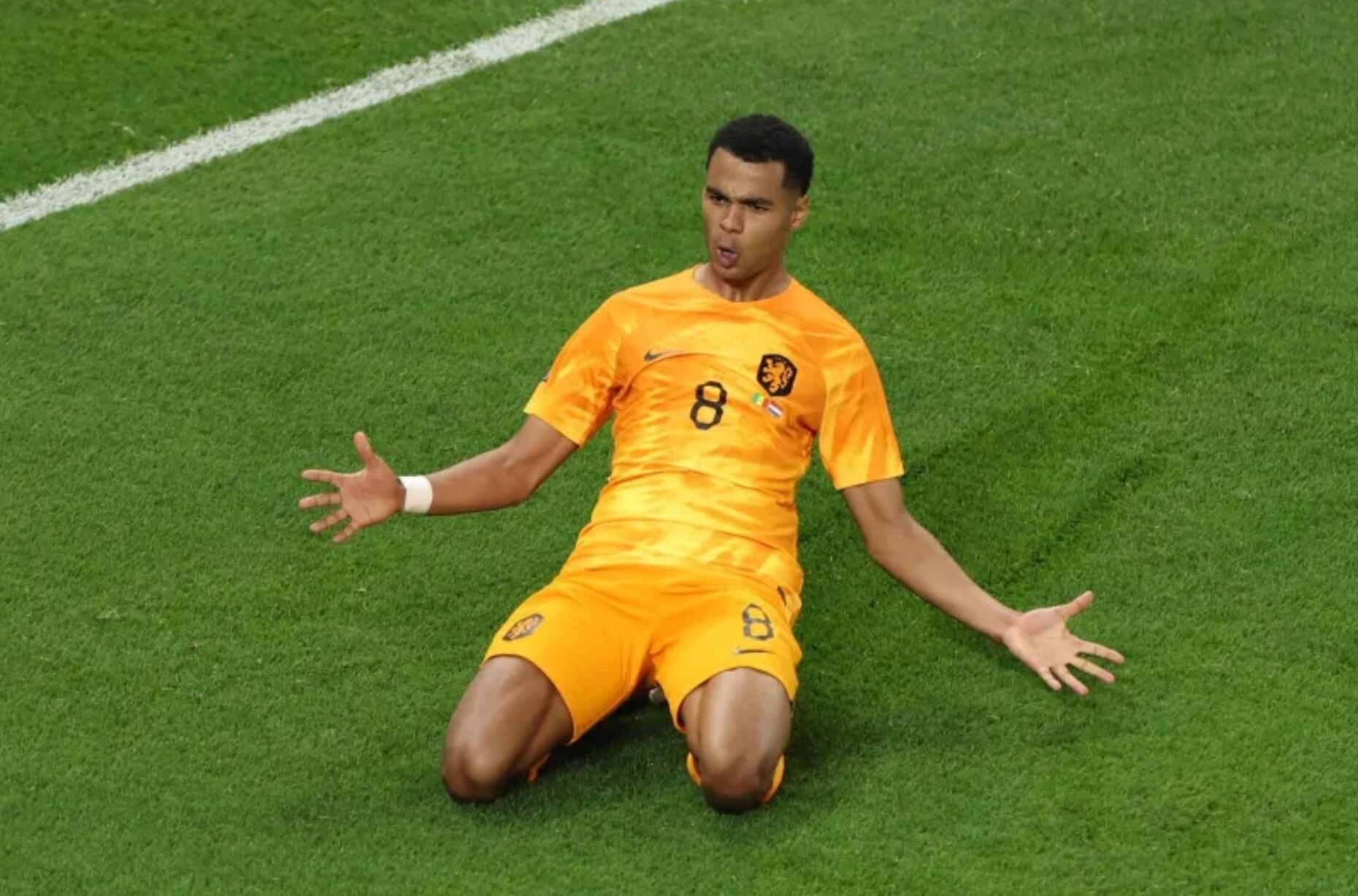 荷兰前锋范佩西2024,下一个范佩西