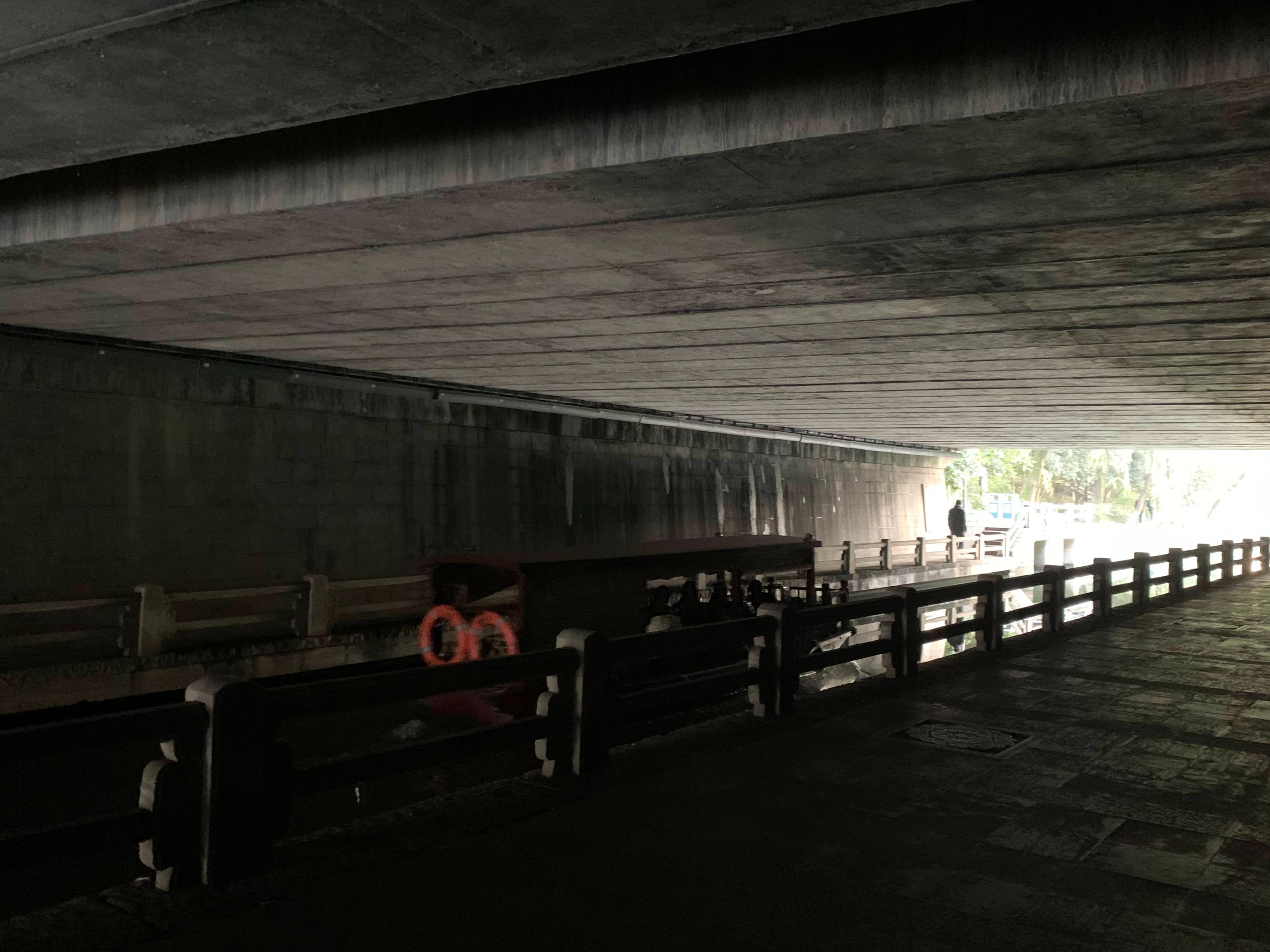 浙江杭州流浪汉救猫后续 (杭州流浪汉救小猫的视频)