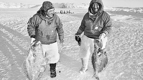 脑黄金dha的藻油是什么样的,中国dha藻油十大牌子