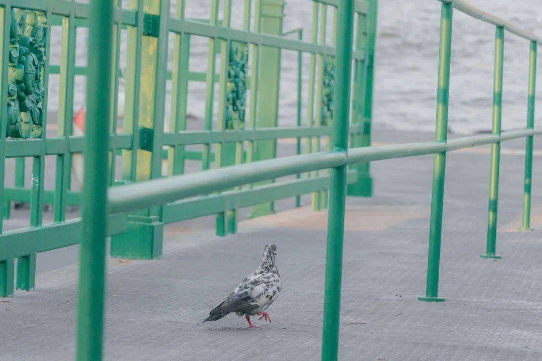 大数据推给想去泰国的朋友，万字长文玩转曼谷芭提雅