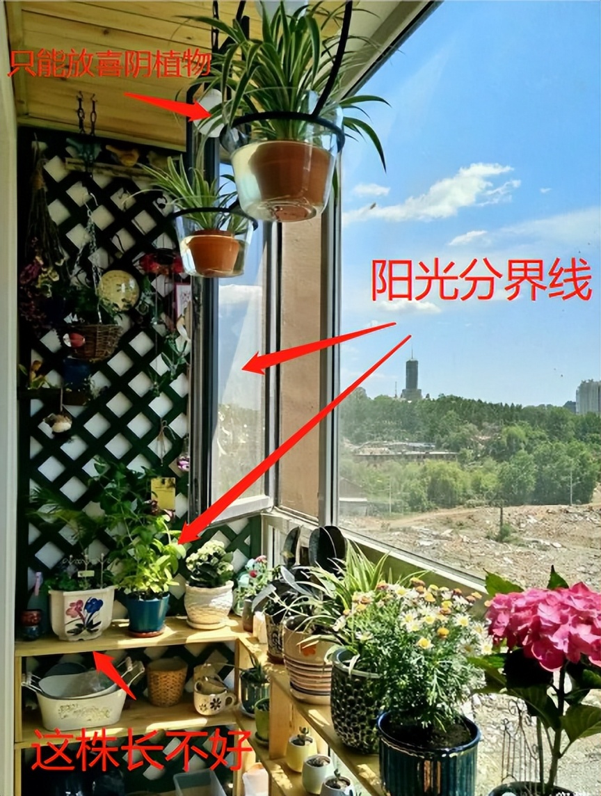 20万一平米的阳台,阳台3平方玻璃窗多少钱