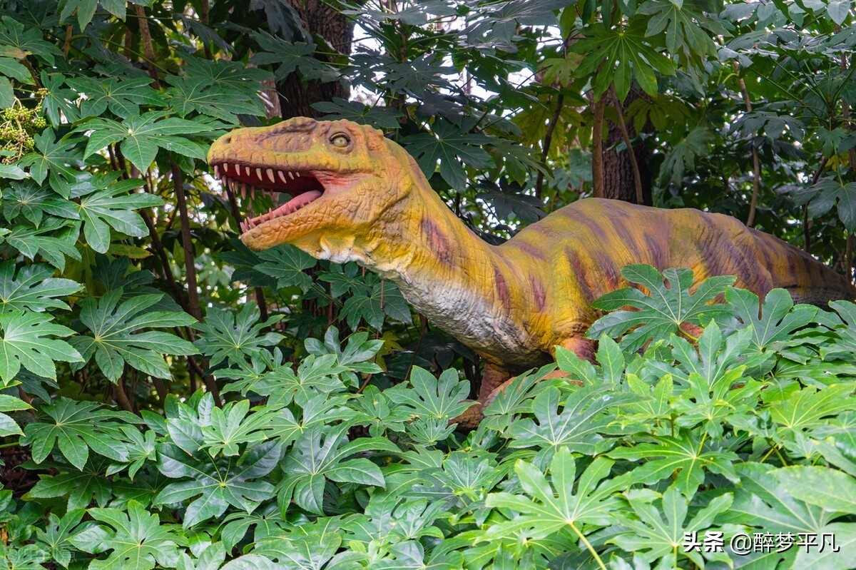 常州环球恐龙城是5a吗,常州环球恐龙城休闲度假区