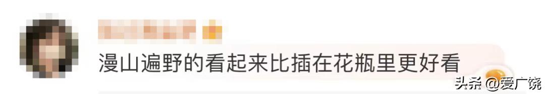 不要买！不要买！不要买！有毒