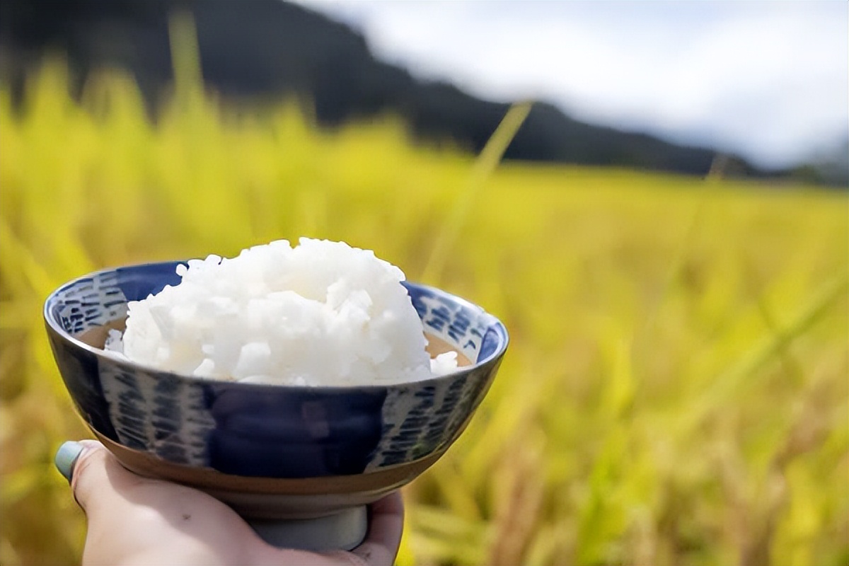 日本人吃不起饭是真的假的,日本人吃不上的大米