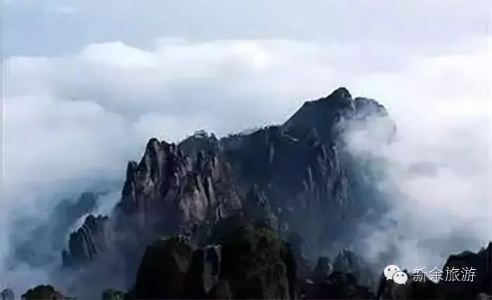 如果你要写新余，就不能只写新余