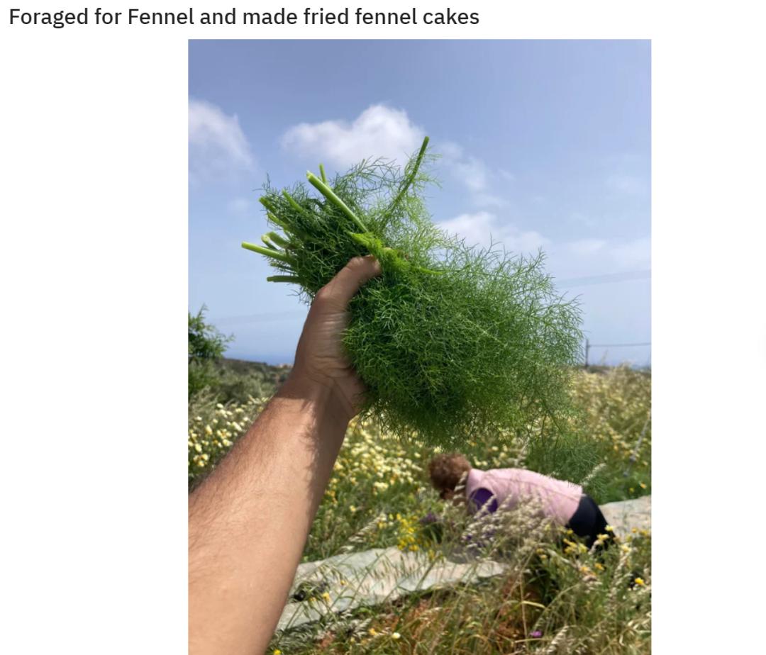 华人美国挖野菜，吃罚单？在纽约是这样挖蕨菜、韭菜、荠菜的