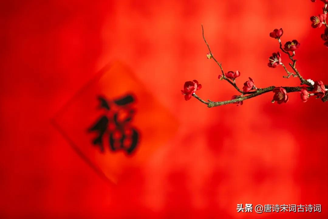插了梅花便过年文案,过年插梅花的图片