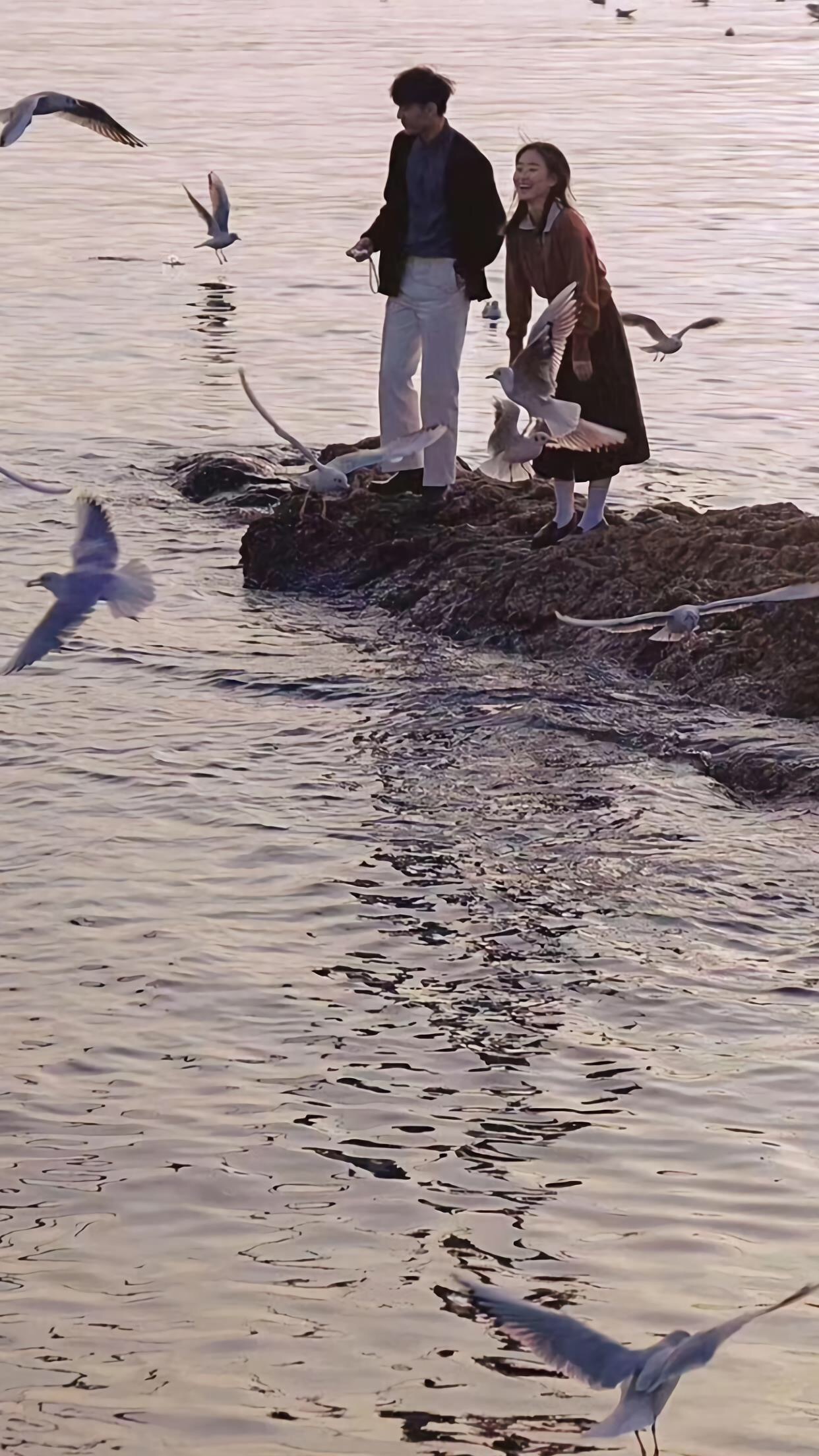 你就是我的风景情侣壁纸,情侣壁纸黄昏与四季