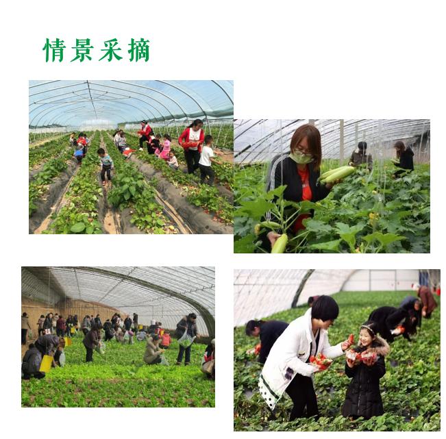 石家庄现代农业观光园,石家庄农业观光园怎么样