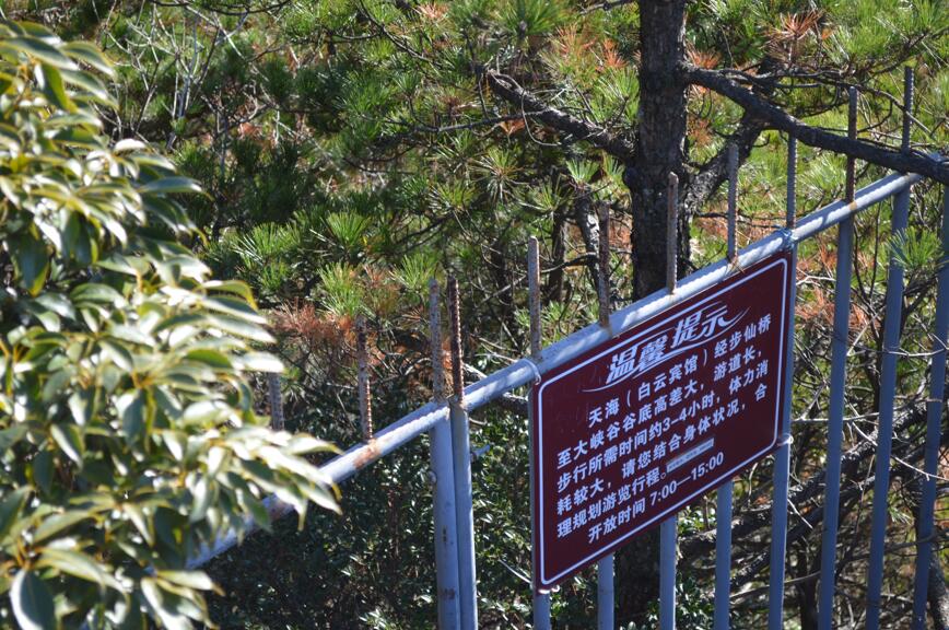 一品黄山天高云淡香烟,一品黄山天高云淡广告原视频