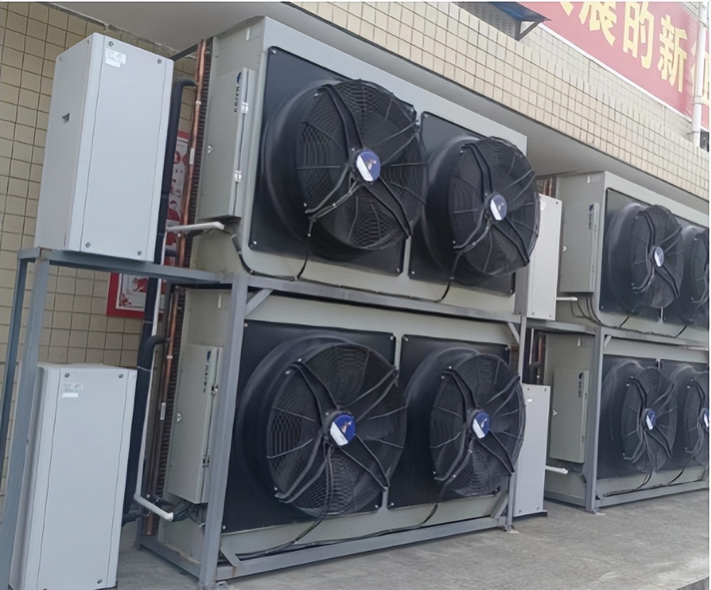 绿色环保我们在行动活动感想,绿色低碳科技创新行动