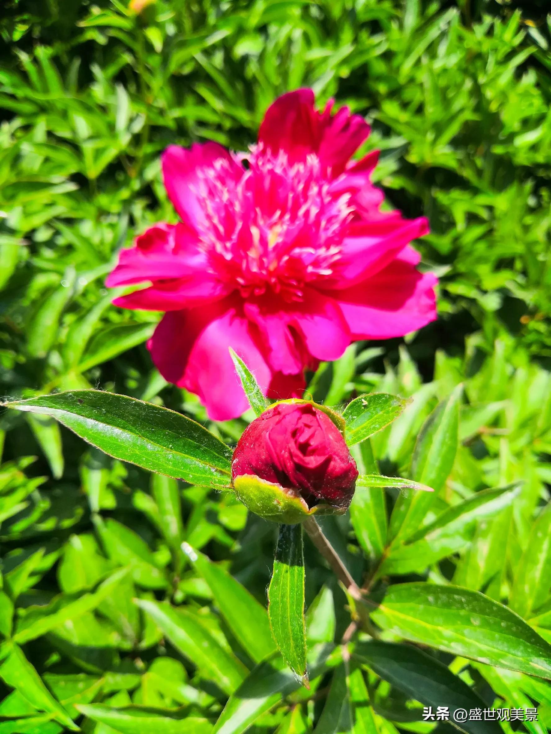 怎样找到头条的流量密码,头条原创文章怎么加推荐量